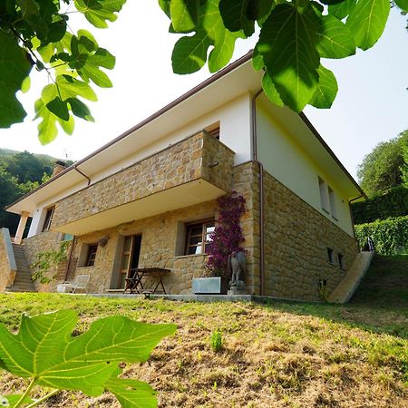 Loft 80 Mts En Un Entorno Natural. Mieres  Dış mekan fotoğraf