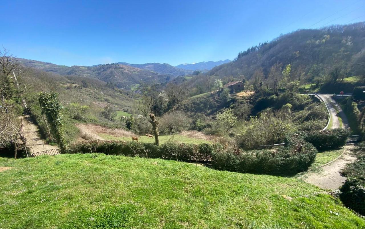 Loft 80 Mts En Un Entorno Natural. Mieres  Dış mekan fotoğraf