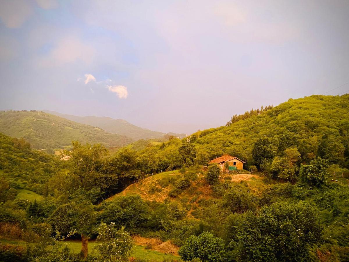 Loft 80 Mts En Un Entorno Natural. Mieres  Dış mekan fotoğraf