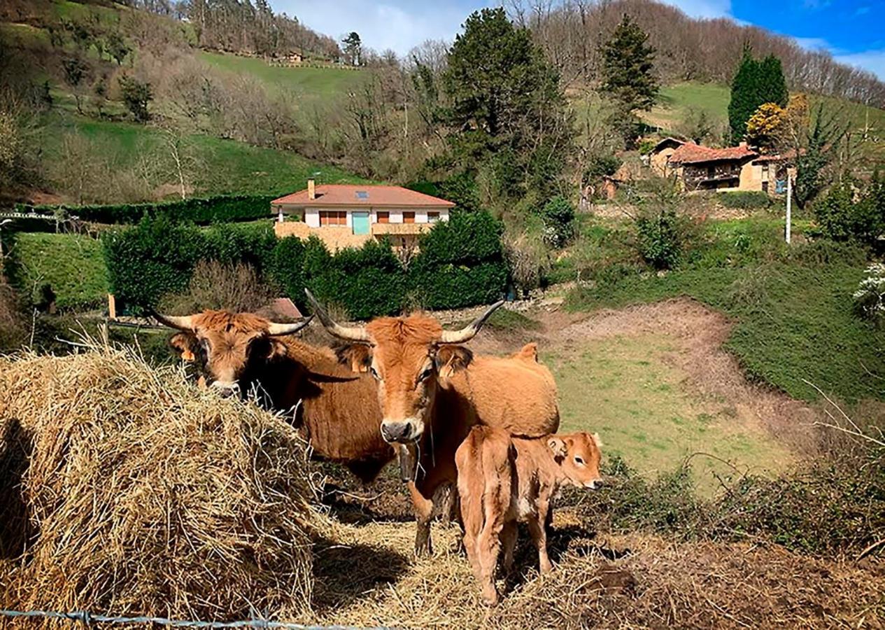 Loft 80 Mts En Un Entorno Natural. Mieres  Dış mekan fotoğraf