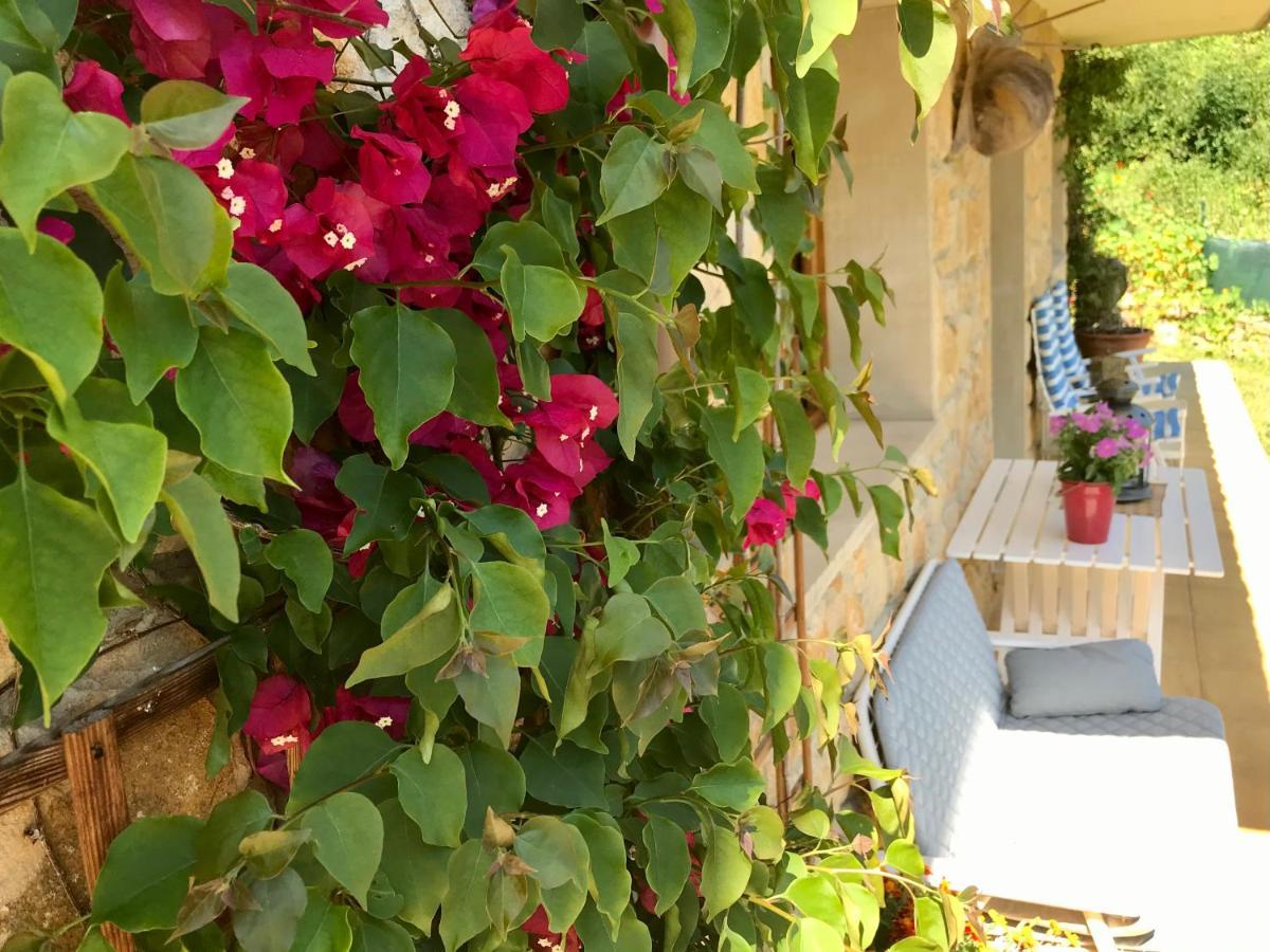 Loft 80 Mts En Un Entorno Natural. Mieres  Dış mekan fotoğraf
