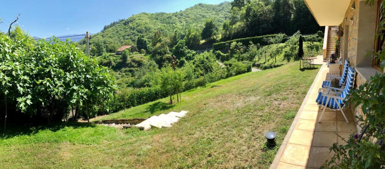 Loft 80 Mts En Un Entorno Natural. Mieres  Dış mekan fotoğraf