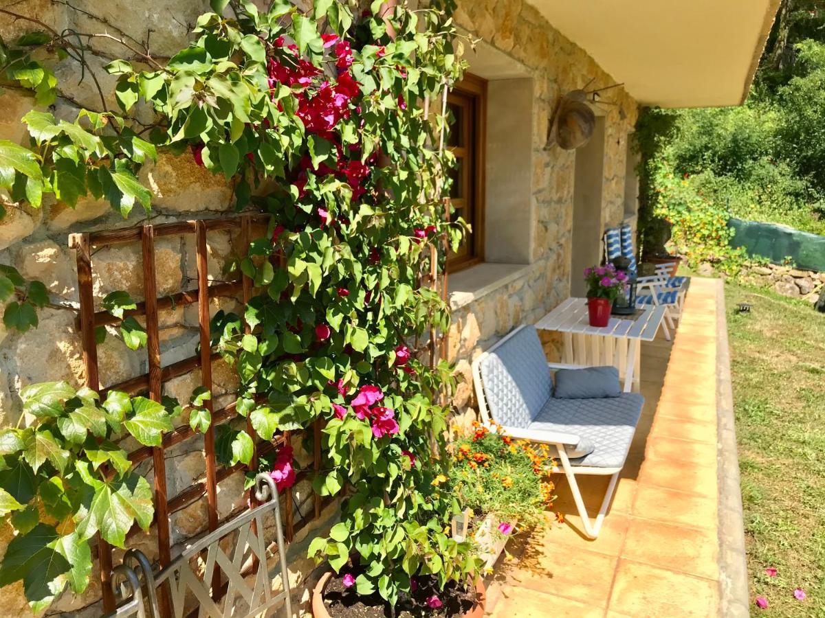 Loft 80 Mts En Un Entorno Natural. Mieres  Dış mekan fotoğraf