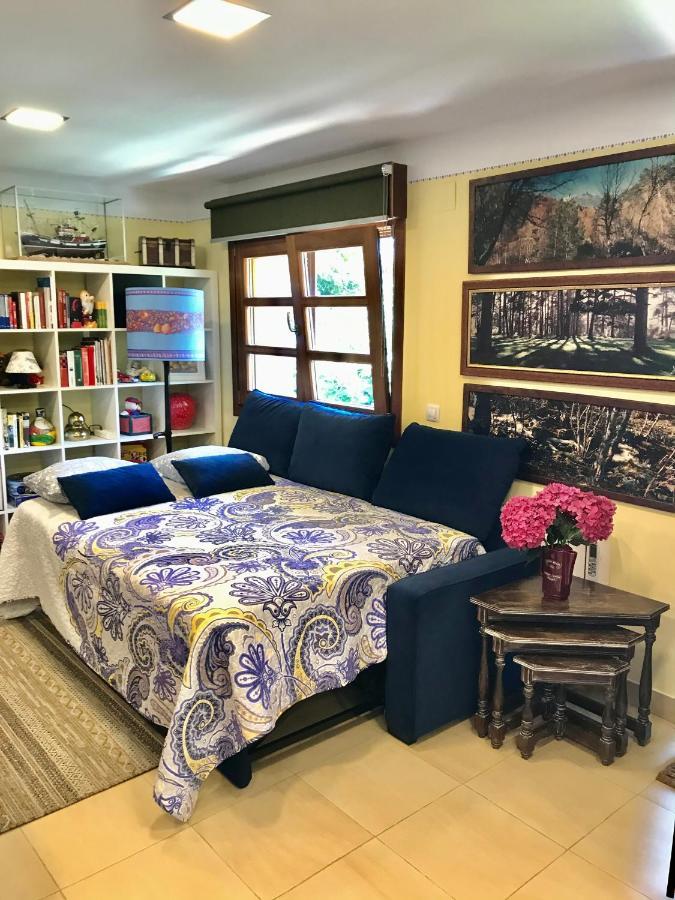 Loft 80 Mts En Un Entorno Natural. Mieres  Dış mekan fotoğraf