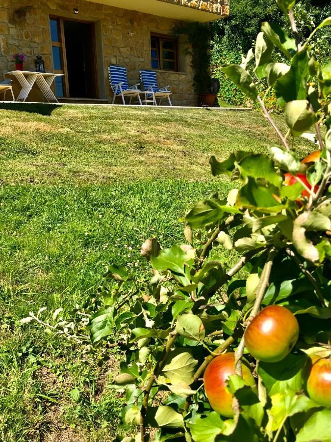 Loft 80 Mts En Un Entorno Natural. Mieres  Dış mekan fotoğraf